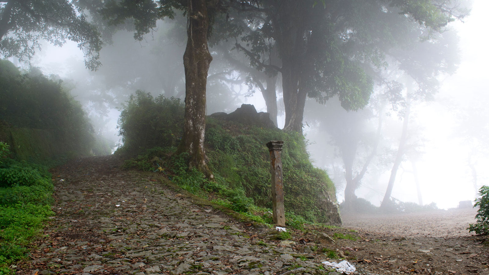 “The Mother of All haunted Places” -Dow Hill of Kurseong ! What’s the reasoning behind this ??