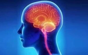 World Brain Day 2024: Raising Awareness on Brain Health and Prevention
