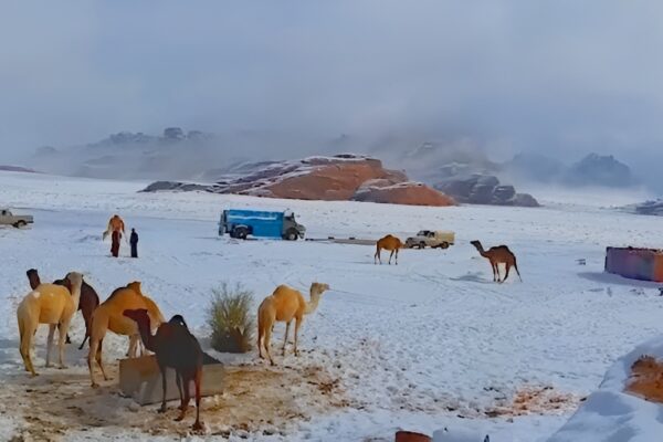 First-Ever Snowfall in Saudi Arabia's Desert! See the Stunning Photos