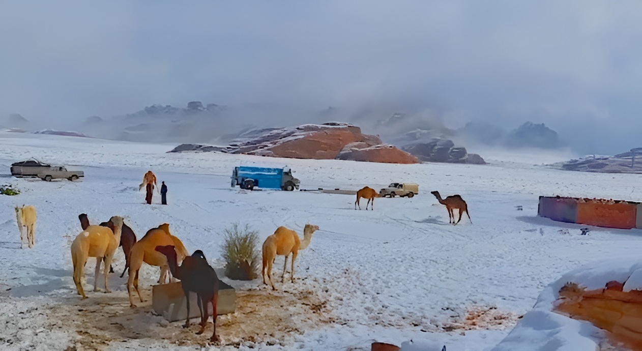 First-Ever Snowfall in Saudi Arabia's Desert! See the Stunning Photos