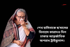 শেখ হাসিনাকে ছ’মাসের বিনাশ্রম কারাদণ্ড দিল ঢাকার আন্তর্জাতিক অপরাধ ট্রাইব্যুনাল।