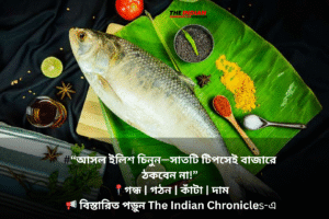 “আসল ইলিশ চিনুন—সাতটি টিপসেই বাজারে ঠকবেন না!” 📍গন্ধ | গঠন | কাঁটা | দাম 📢 বিস্তারিত পড়ুন The Indian Chronicles-এ