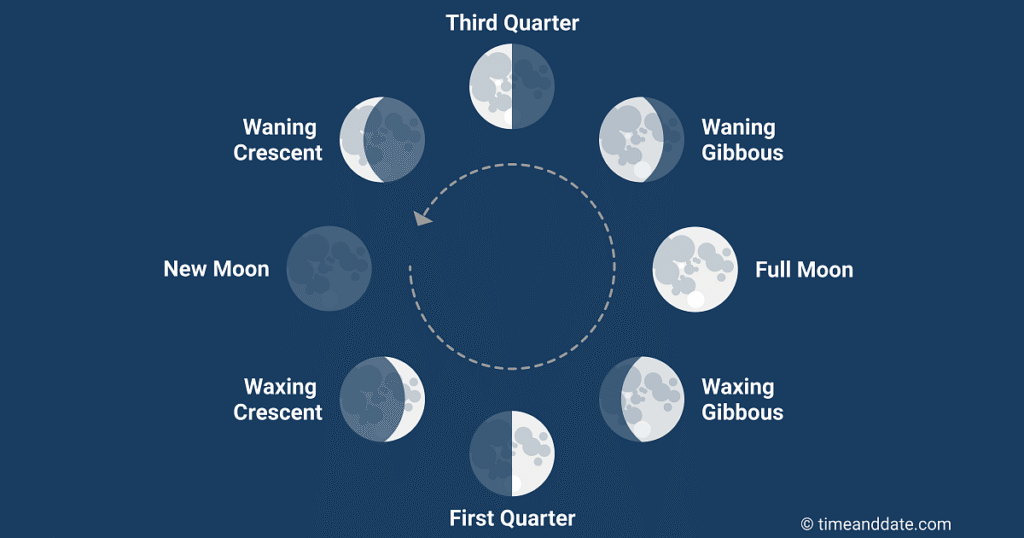  Lunar cycle showing full moon.