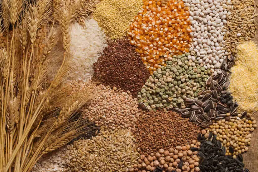Agricultural exports like spices and rice from India, which are affected by high U.S. tariffs under current trade rules.